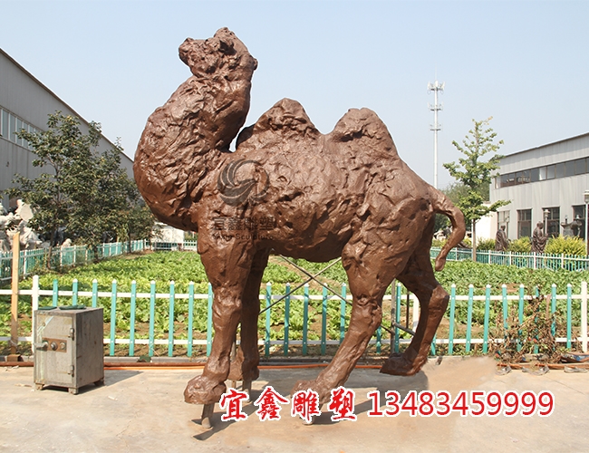 銅雕駱駝