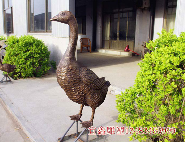 天鵝