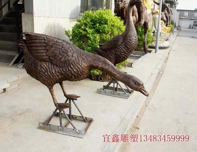 天鵝