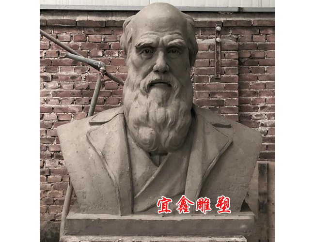 達爾文半身像雕塑