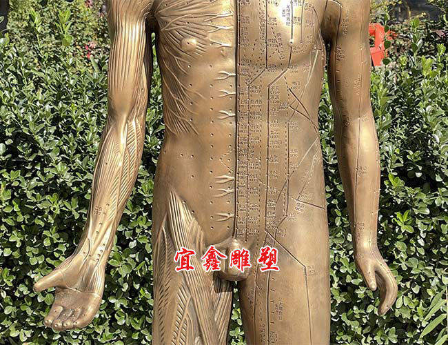 針灸銅人雕塑
