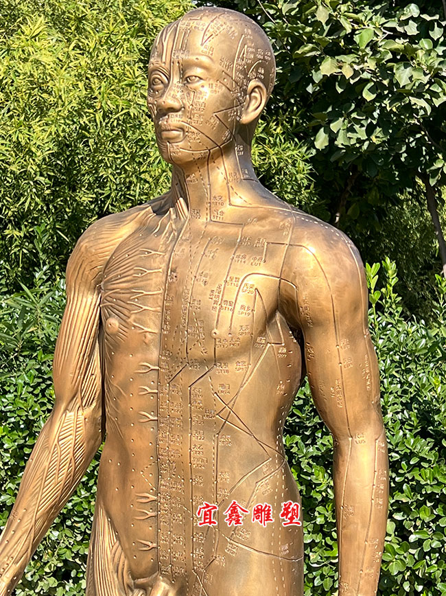 上半身